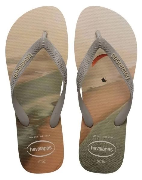 CHINELO HAVAIANAS TOP BASIC - Imagem 2