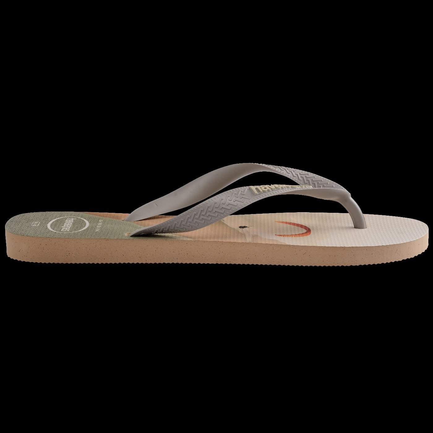 CHINELO HAVAIANAS TOP BASIC - Imagem 3