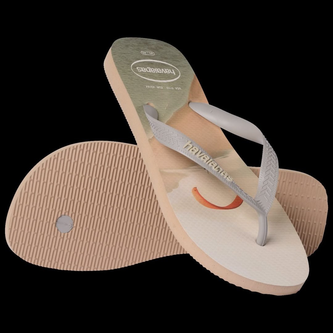 CHINELO HAVAIANAS TOP BASIC 004